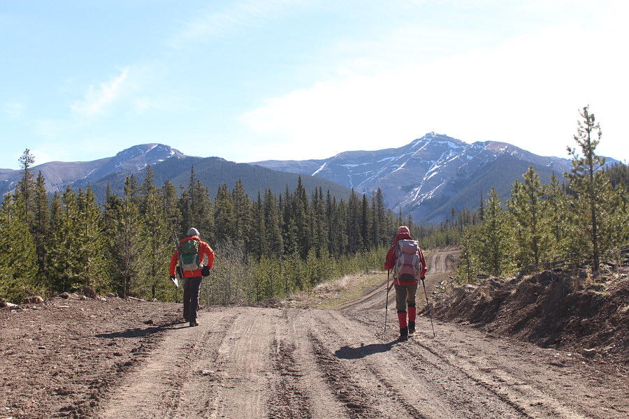 We should have brought mountain bikes!