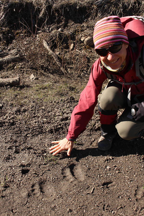 Still no signs of Bigfoot...