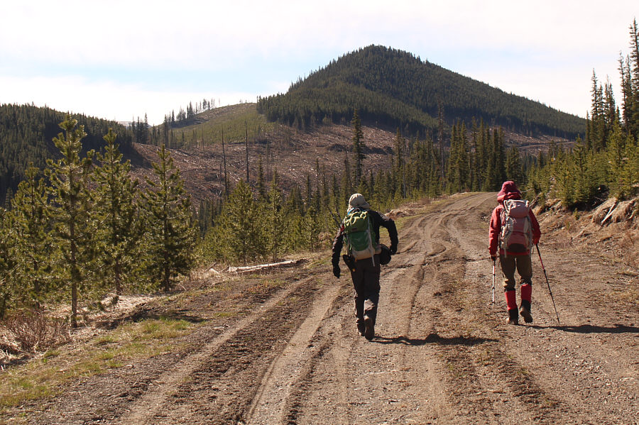 Sounds like a good plan!