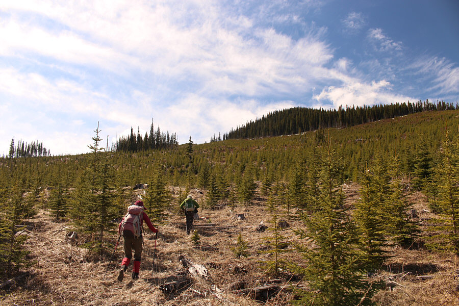 Not as bad as I thought it would be.