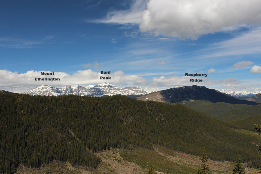 Second best view of the day?