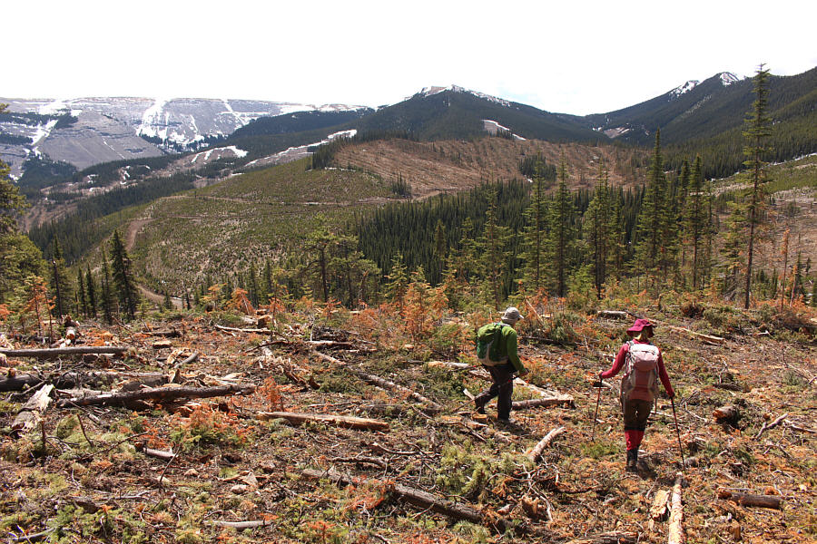 Plateau Mountain might be worth another visit in the near future...