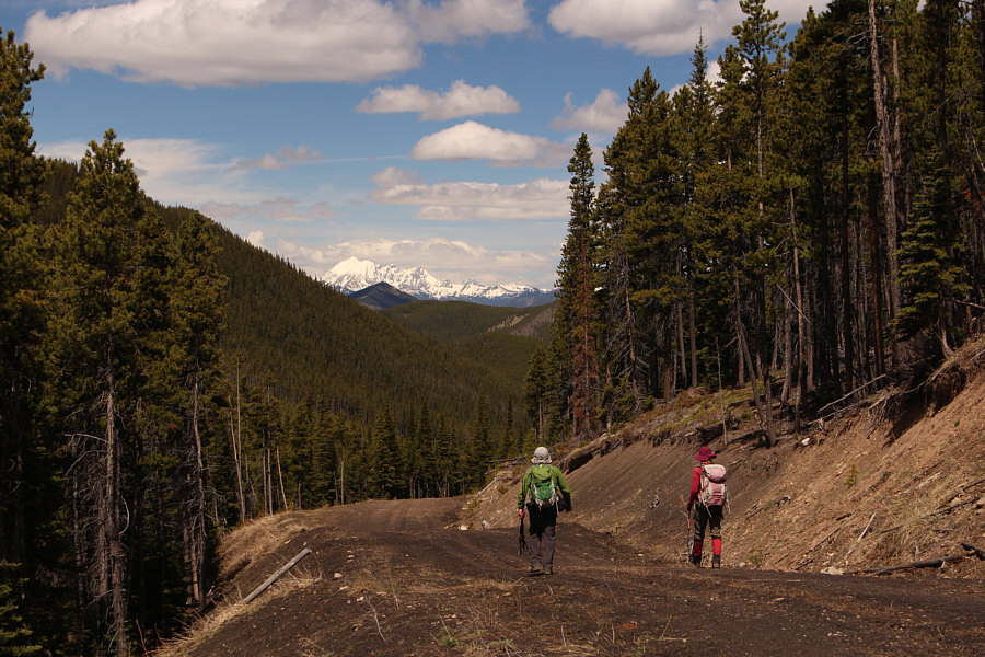 Sure, the road is mundane, but it beats bushwhacking!