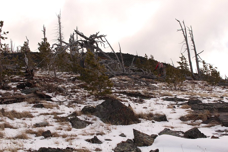 Huge sigh of relief from me!