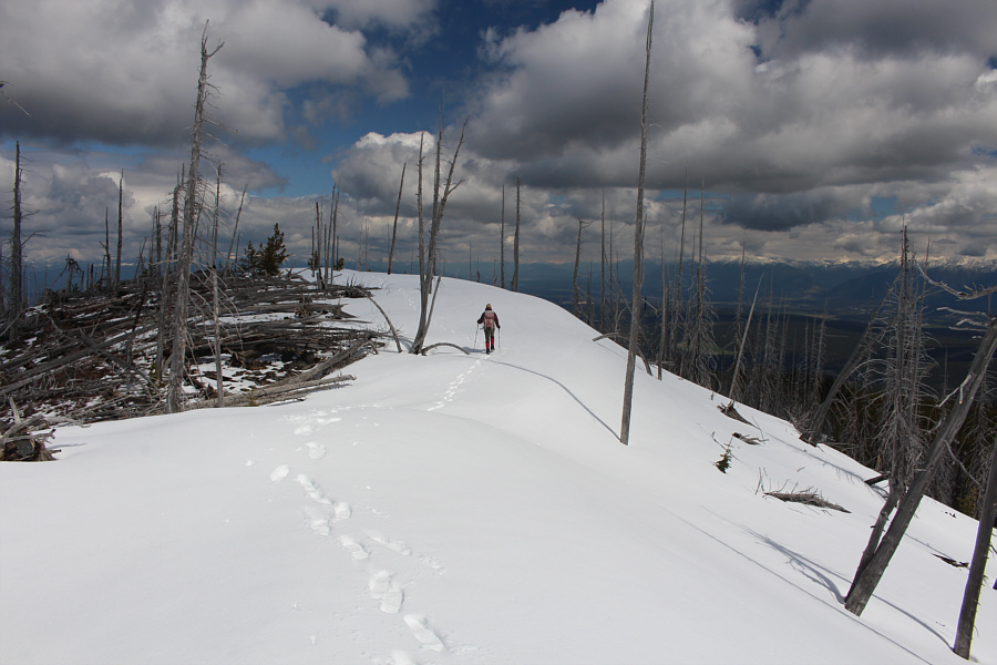 Better than going through the deadfall at left.