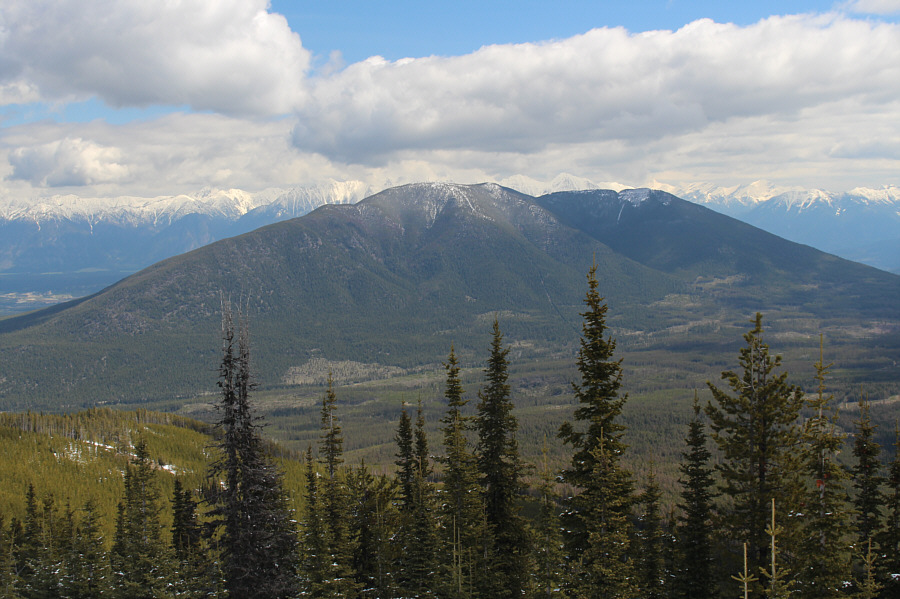 Maybe someday I'll return to ski Mount Baker...