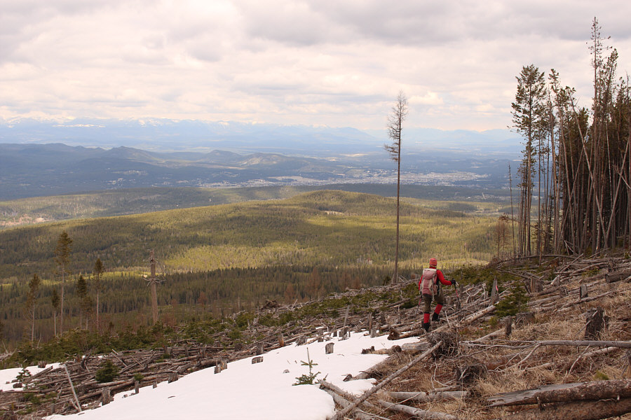Our car is just out of sight down this slope but not far.
