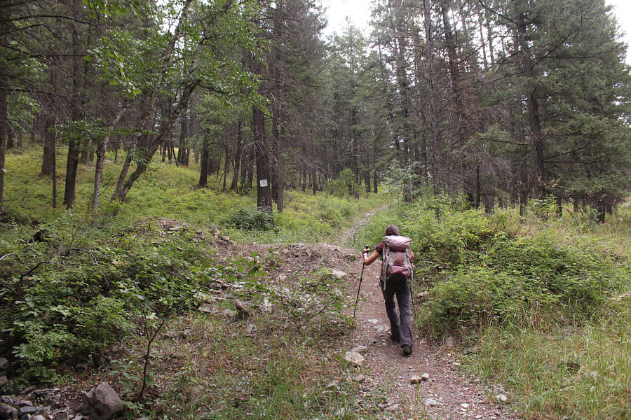 This would be a fun ride down on a bike!