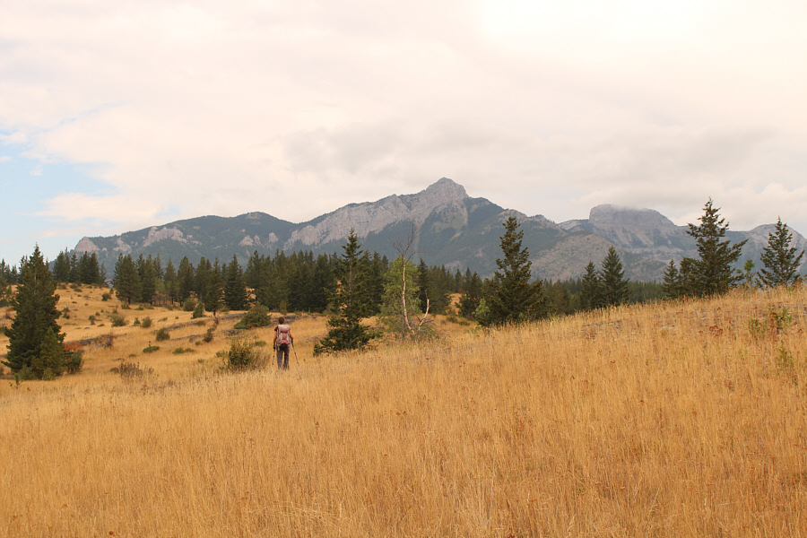 The middle peak looks like it might be worth exploring someday...