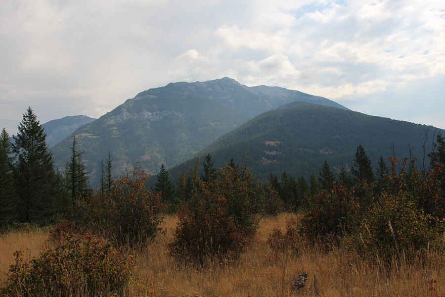 I guess it's better than looking at a wall of trees!