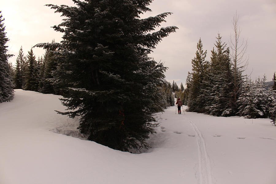 Satellite imagery from Google Maps helps immensely!