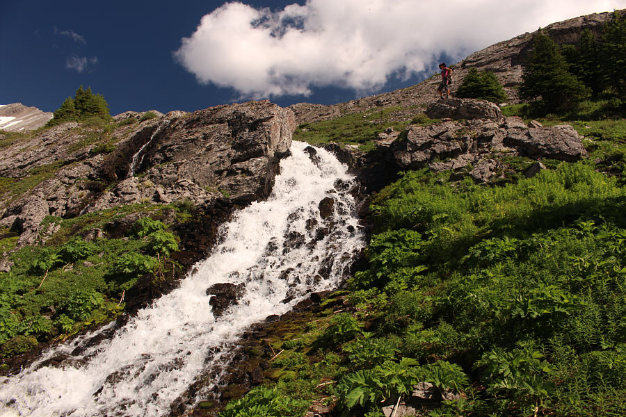 Looks refreshing, doesn't it?