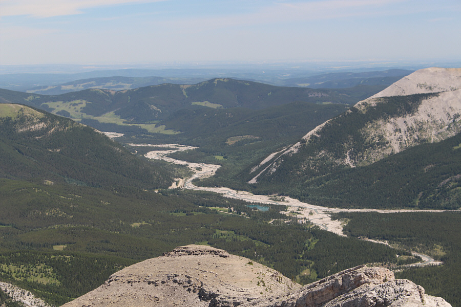 It's probably a zoo at the pond right now!