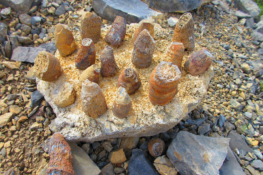 Do I make you horny, baby?