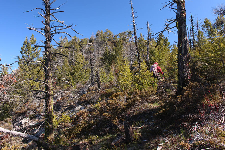 They need to chop down all the trees on the entire summit ridge!