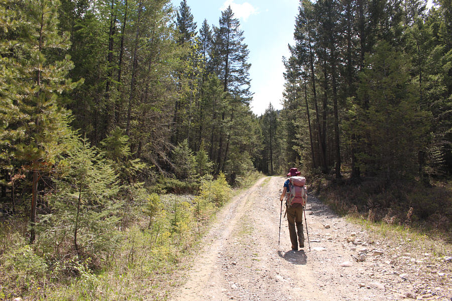 Kinda looks like the road is still easy to drive!