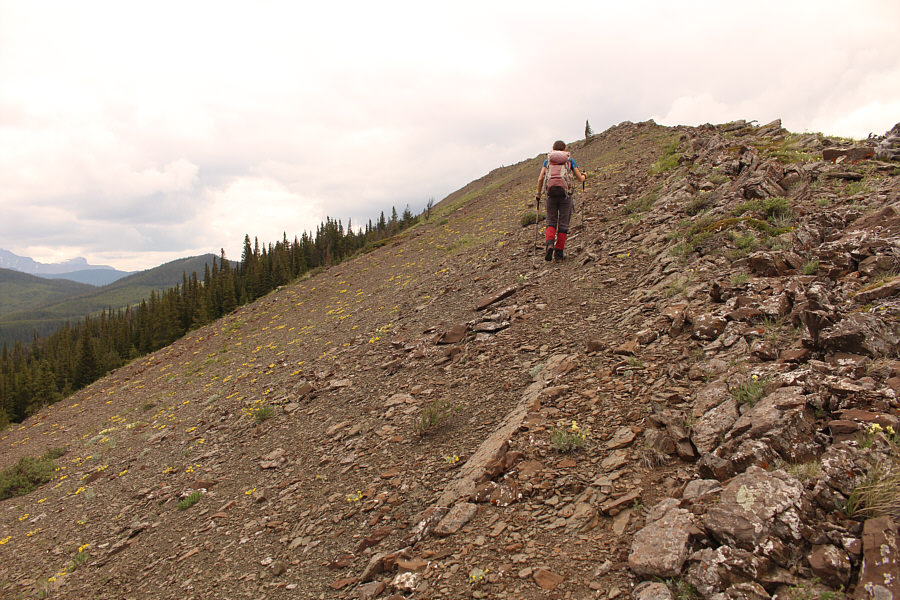 Maybe this should have been called "Rocky Ridge"...