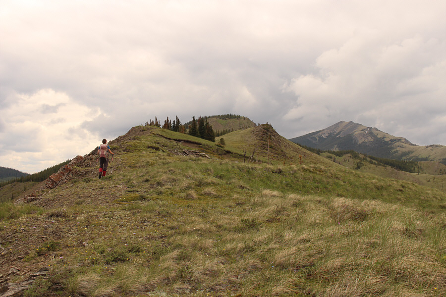 And of course the top is covered with trees...sigh.