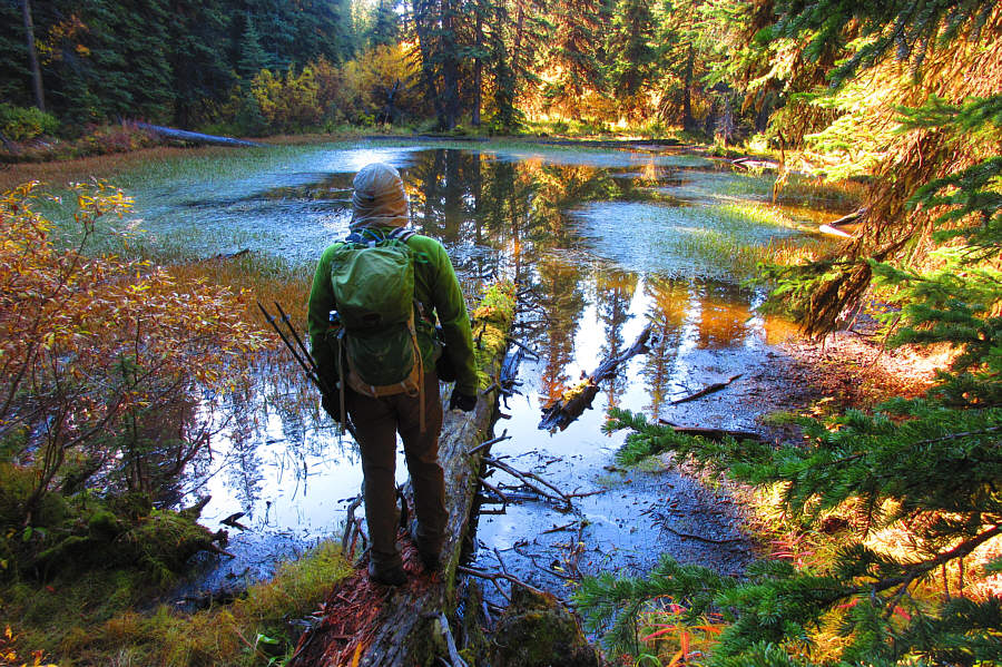Beautiful capture by Zosia even though the pond is kinda scummy!