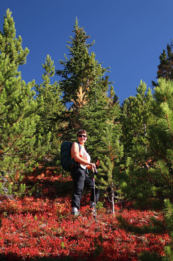 Dinah is a celebrity in these parts!