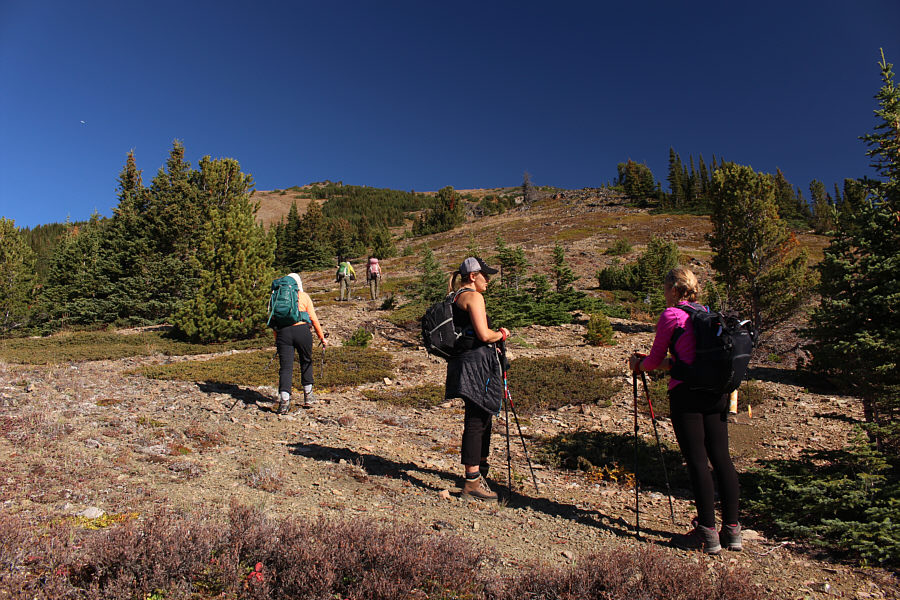 Still some route-finding left to get through some bushes.