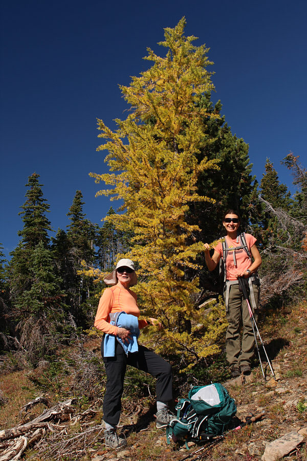 I rubbed my face on the needles!