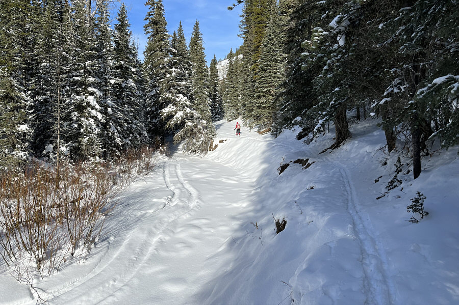 Guess where the ATV went!