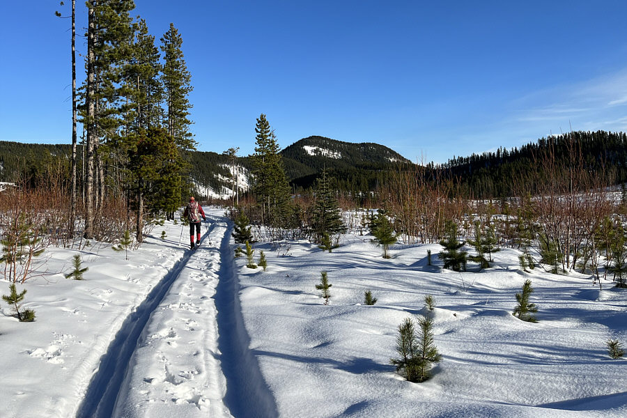 Really need another good dump of snow in this area!