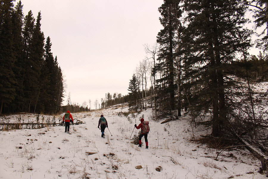 Not surprisingly, no one else is here!