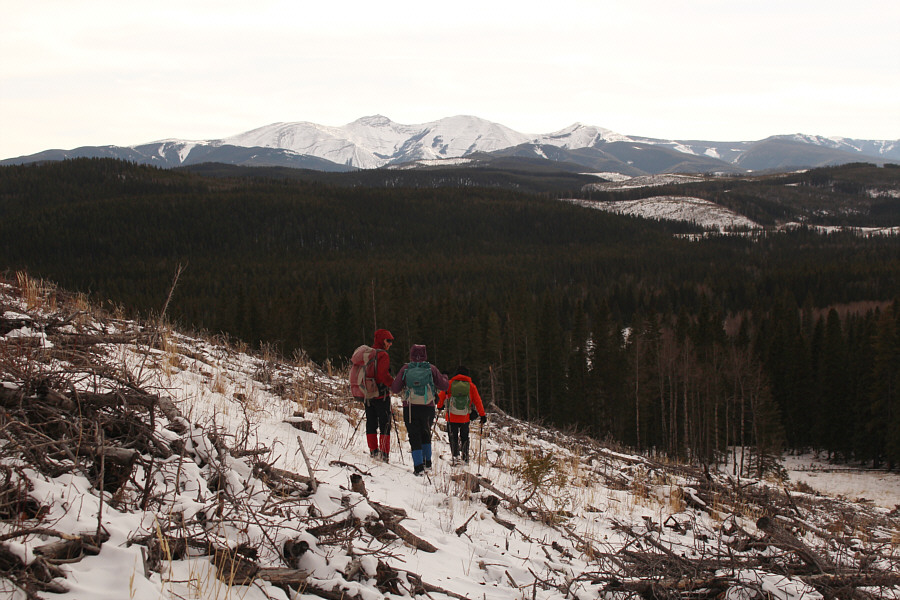 Ugly logging debris seems to be the recurring theme with this hill!