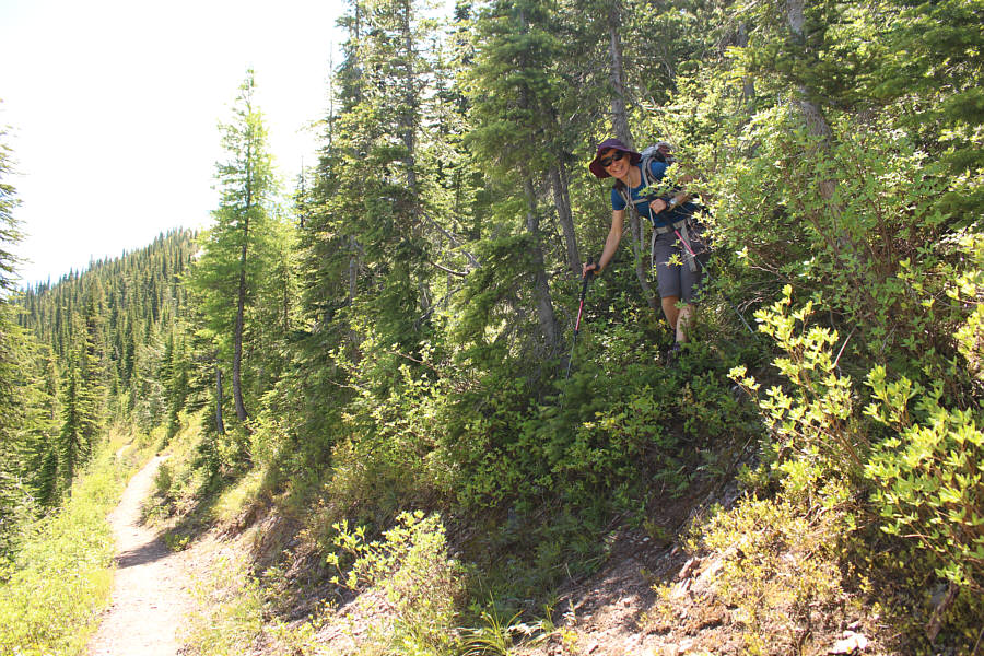 Not as bad as North Kintla Creek!