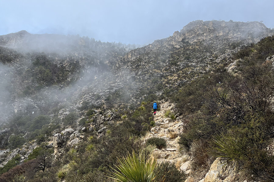 There's a good chance we might get some views from the top...