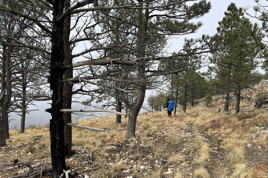 Loop hikes are always the best!