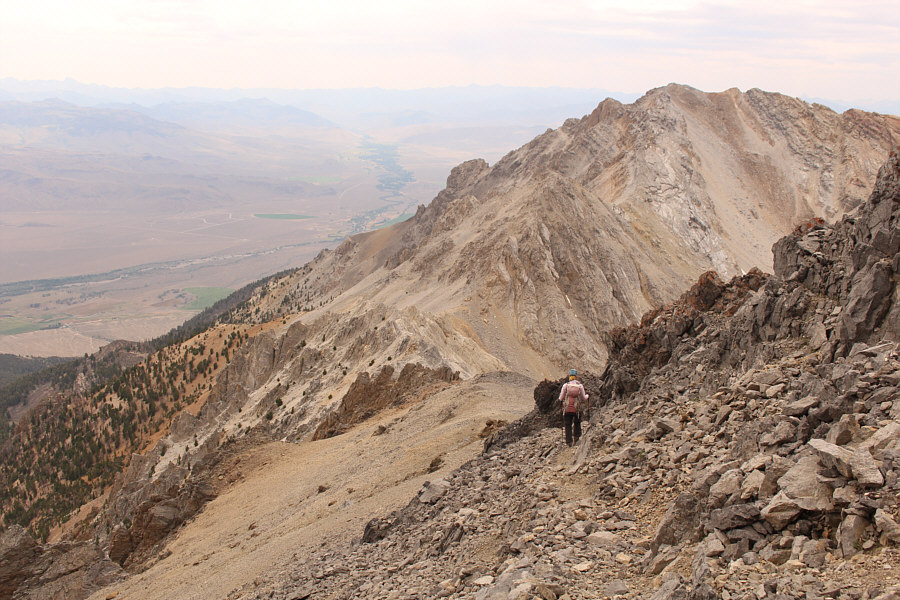 Sticking to the Devil we know!