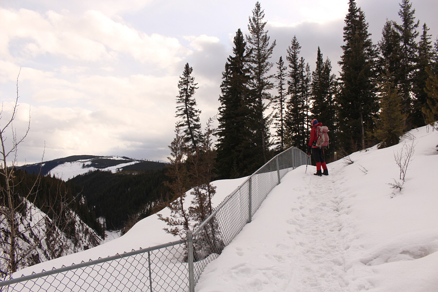 Maybe they should cut a few of the trees to make the viewpoint more...viewable!