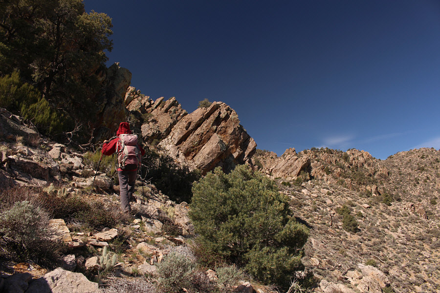 I was hoping it would be a cakewalk the rest of the way from here, but...