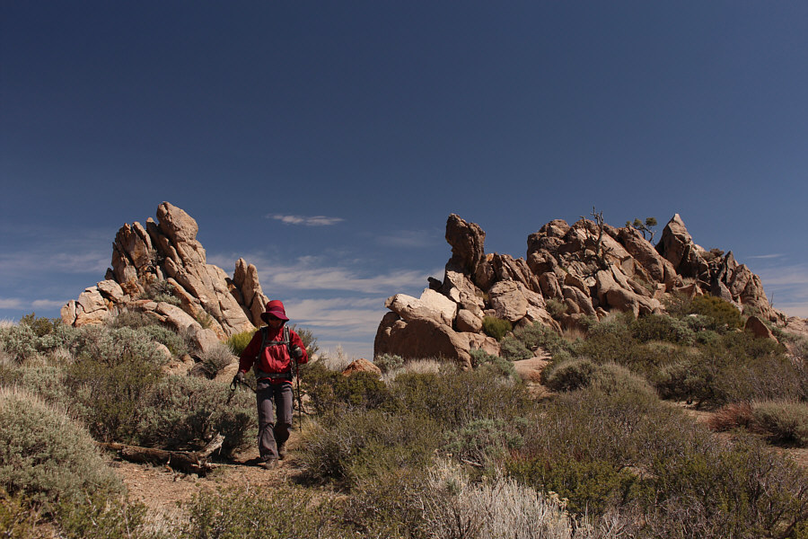 Look for these on the way back!