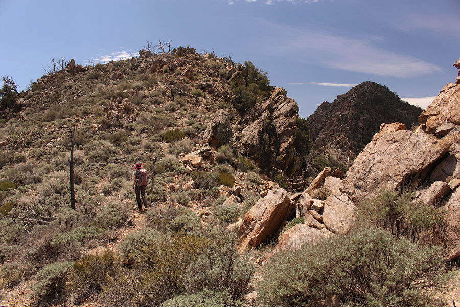 Already tired of all the ups and downs!