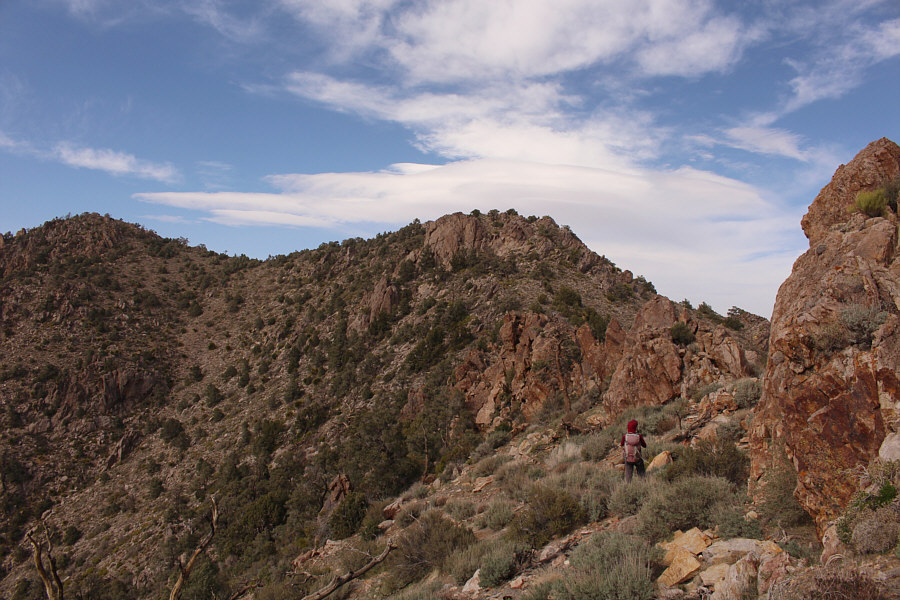 Might have been better just to go right over the top...