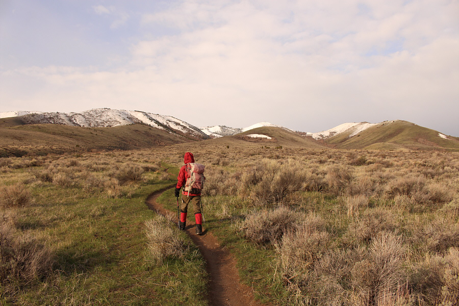 Watch out for trail runners!