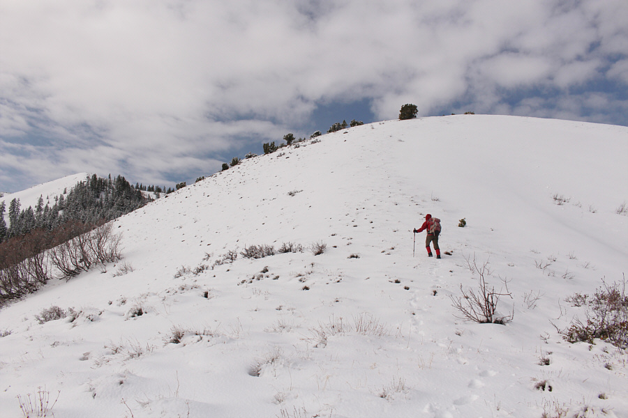 Watch out for cacti buried in the snow!