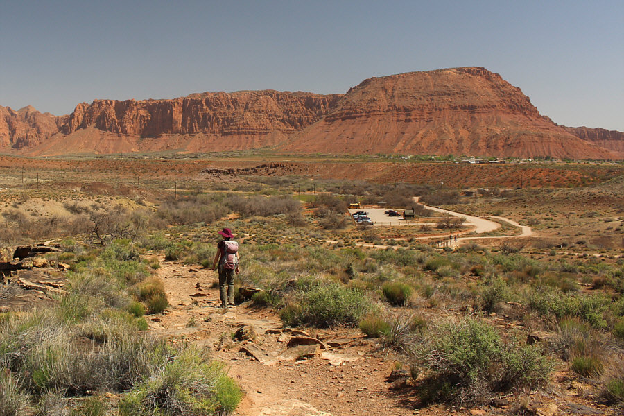Variety is the spice of life!