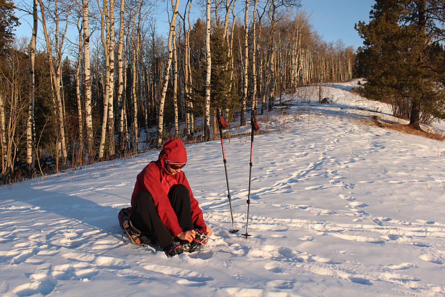 Still recovering from a calf injury, Zosia is not taking any chances!