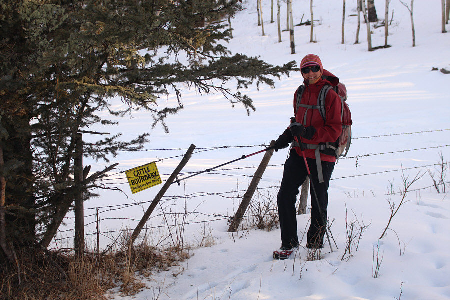 Probably because someone left the gate open!