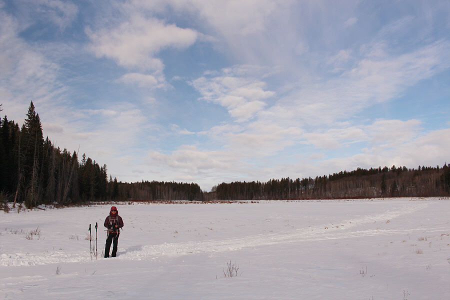 Any suggestions for a name?