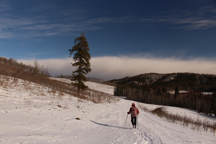 Last week's cold snap is already a distant memory! 