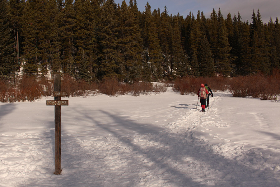 Prairie Link trail is more popular than I would have thought.
