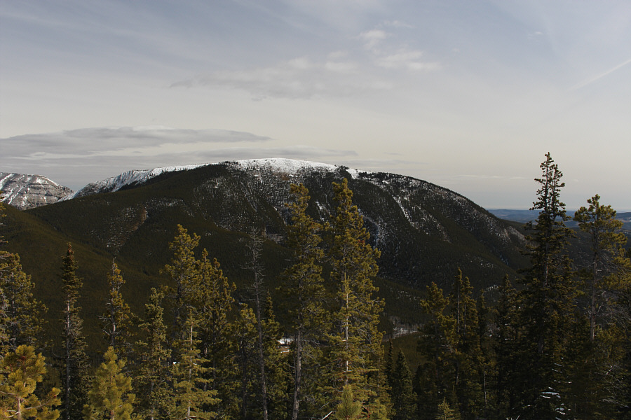 It's probably a zoo up there today...