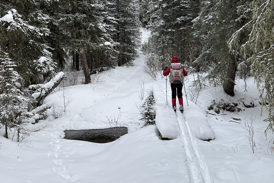 It's amazing that there's still open water here given the cold temperatures.