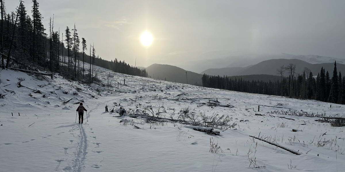 Ugly views are better than no views, I guess.